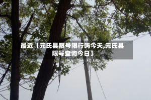 最近【元氏县限号限行吗今天,元氏县限号查询今日】