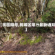 【桃园限号,桃城区限行最新通知】