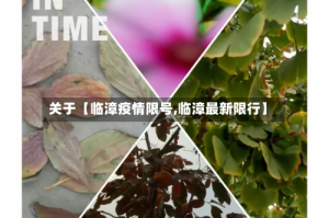 关于【临漳疫情限号,临漳最新限行】