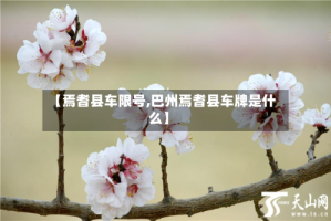 【焉耆县车限号,巴州焉耆县车牌是什么】