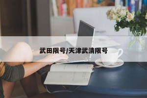 武田限号/天津武清限号