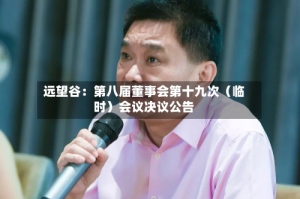 远望谷：第八届董事会第十九次（临时）会议决议公告