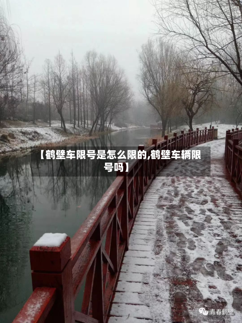 【鹤壁车限号是怎么限的,鹤壁车辆限号吗】-第2张图片