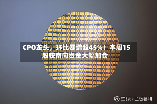 CPO龙头	，环比暴增超45%！本周15股获南向资金大幅加仓-第1张图片