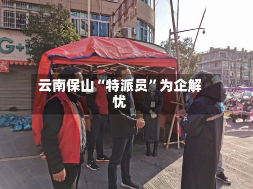 云南保山“特派员”为企解忧-第1张图片