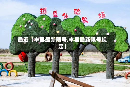 最近【丰县最新限号,丰县最新限号规定】-第3张图片