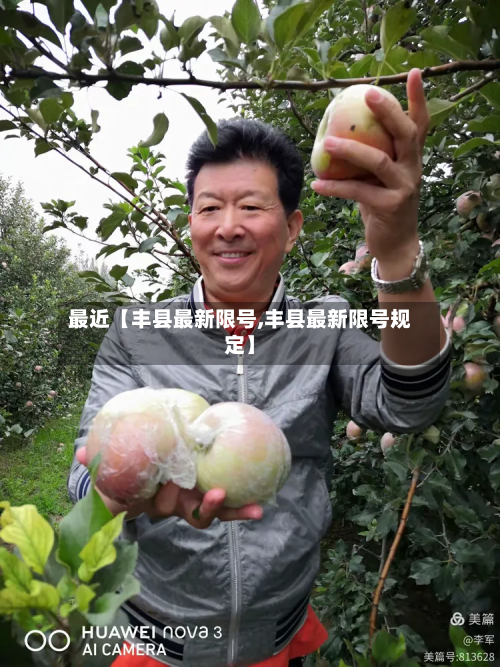 最近【丰县最新限号,丰县最新限号规定】-第1张图片
