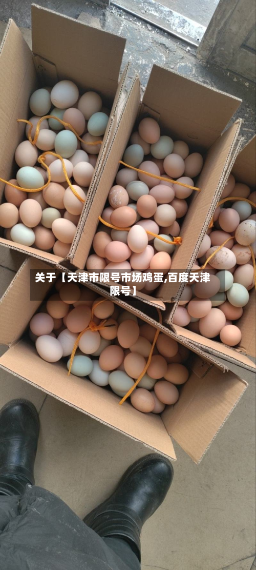 关于【天津市限号市场鸡蛋,百度天津限号】-第1张图片