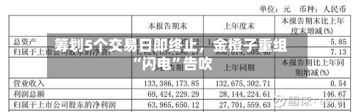 筹划5个交易日即终止，金橙子重组“闪电”告吹-第1张图片
