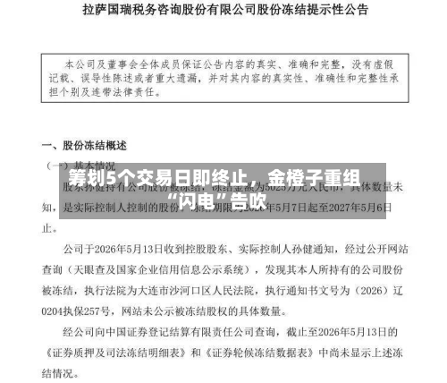 筹划5个交易日即终止	，金橙子重组“闪电”告吹-第2张图片