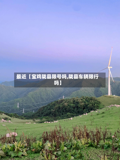 最近【宝鸡陇县限号吗,陇县车辆限行吗】-第1张图片
