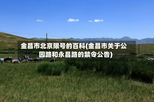 金昌市北京限号的百科(金昌市关于公园路和永昌路的禁令公告)-第3张图片