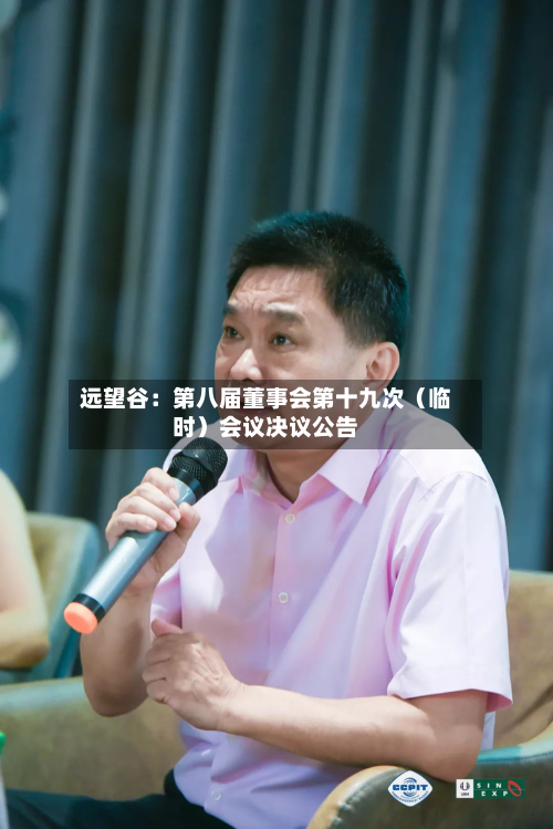 远望谷：第八届董事会第十九次（临时）会议决议公告-第1张图片