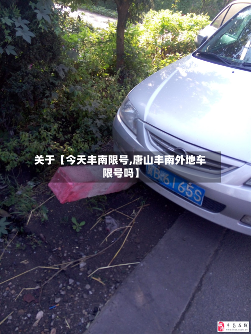 关于【今天丰南限号,唐山丰南外地车限号吗】-第1张图片
