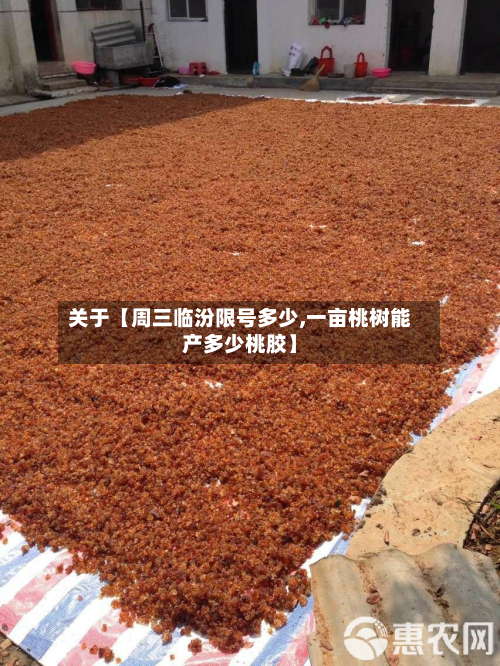 关于【周三临汾限号多少,一亩桃树能产多少桃胶】-第2张图片