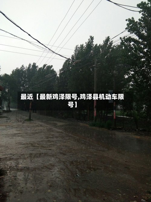最近【最新鸡泽限号,鸡泽县机动车限号】-第3张图片
