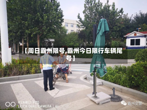 【周日霸州限号,霸州今日限行车辆尾号】-第3张图片