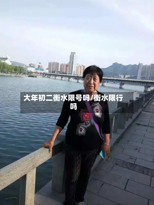 大年初二衡水限号吗/衡水限行吗-第1张图片