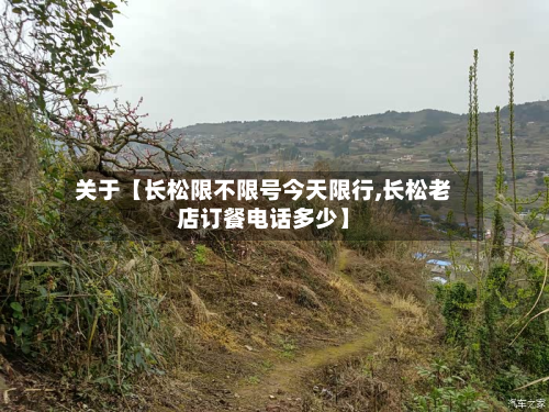 关于【长松限不限号今天限行,长松老店订餐电话多少】-第2张图片