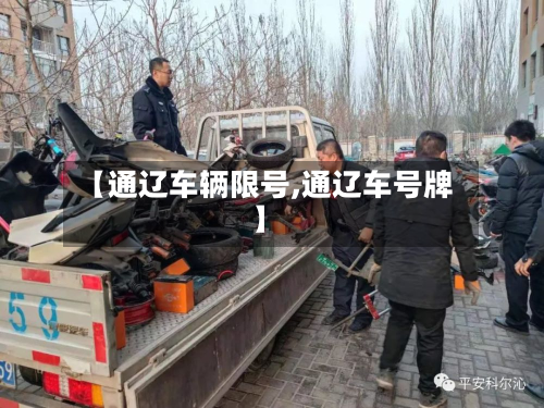 【通辽车辆限号,通辽车号牌】-第3张图片