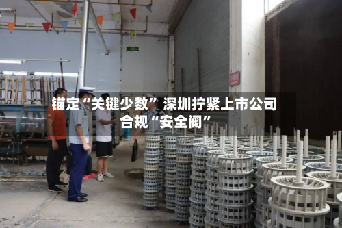 锚定“关键少数” 深圳拧紧上市公司合规“安全阀	”-第3张图片