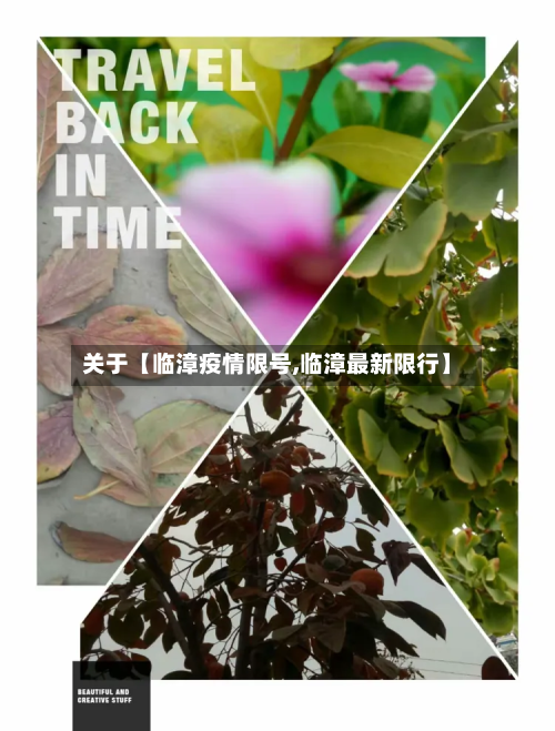 关于【临漳疫情限号,临漳最新限行】-第1张图片