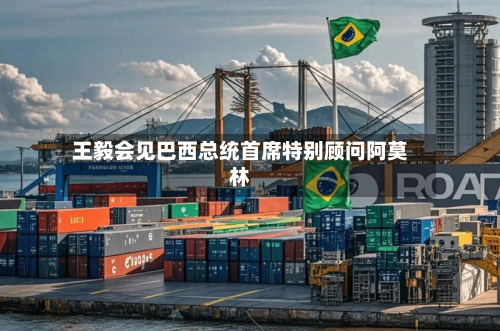 王毅会见巴西总统首席特别顾问阿莫林-第2张图片