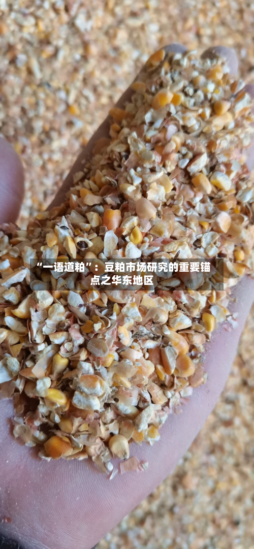 “一语道粕	”：豆粕市场研究的重要锚点之华东地区-第2张图片