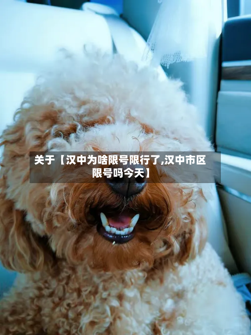 关于【汉中为啥限号限行了,汉中市区限号吗今天】-第1张图片