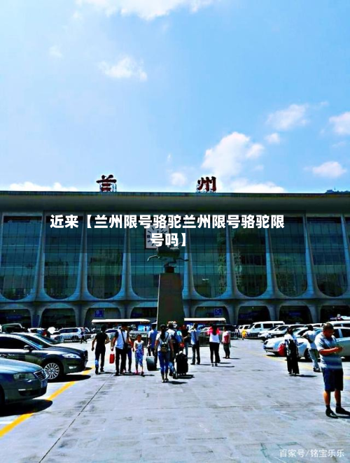 近来【兰州限号骆驼兰州限号骆驼限号吗】-第1张图片