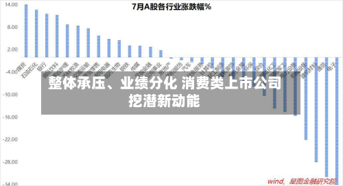 整体承压	、业绩分化 消费类上市公司挖潜新动能-第1张图片