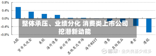 整体承压、业绩分化 消费类上市公司挖潜新动能-第2张图片