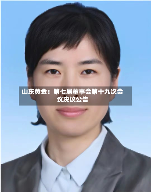 山东黄金：第七届董事会第十九次会议决议公告-第1张图片